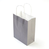 12 pc Pure Color Kraft Paper Bags, Gift Bags, Shopping Bags, with Paper Twine Handles, Rectangle, Gray, 15x11x6cm