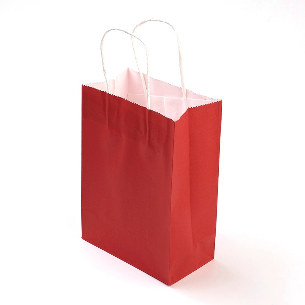 CRASPIRE 12 pc Rectangle Paper Bags, with Handles, Gift Bags