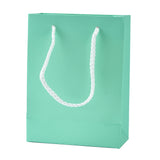 5 pc Kraft Paper Bags, with Handles, Gift Bags, Shopping Bags, Rectangle, Aquamarine, 16x12x5.9cm