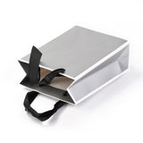 10 pc Rectangle Paper Bags, with Handles, for Gift Bags and Shopping Bags, Silver, 16x12x0.6cm