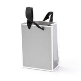 10 pc Rectangle Paper Bags, with Handles, for Gift Bags and Shopping Bags, Silver, 16x12x0.6cm