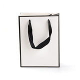 10 pc Rectangle Paper Bags, with Handles, for Gift Bags and Shopping Bags, White, 20x15x0.6cm