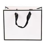 10 pc Rectangle Paper Bags, with Handles, for Gift Bags and Shopping Bags, White, 18x22x0.6cm