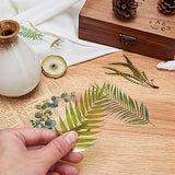 Craspire Self Adhesive Stamping Stickers Sets, DIY Hand Account Photo Album Decoration Sticker, Plant Theme, Leaf Pattern, 71~123x27~60mm, 40pcs/bag, 2bags/set