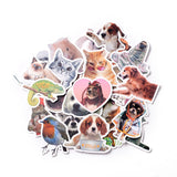 Craspire Waterproof Self Adhesive Paper Stickers, for Suitcase, Skateboard, Refrigerator, Helmet, Mobile Phone Shell, Animal Pattern, 42~74x40~80x0.2mm, about 52pcs/bag, 5bags/set