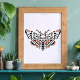 CRASPIRE Plastic Drawing Painting Stencils Templates, Rectangle, Butterfly Farm, 297x210mm