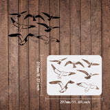 CRASPIRE Plastic Drawing Painting Stencils Templates, Rectangle, Bird Pattern, 297x210mm