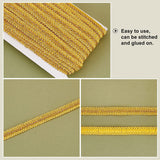 19.6 Yard Gimp Braid Trim 0.6 Inch Polyester Woven Braid Trim Golden Decorative Gimp Trim Ribbon Centipede Lace Ribbon for Costume DIY Crafts Sewing Curtain Slipcover Decoration