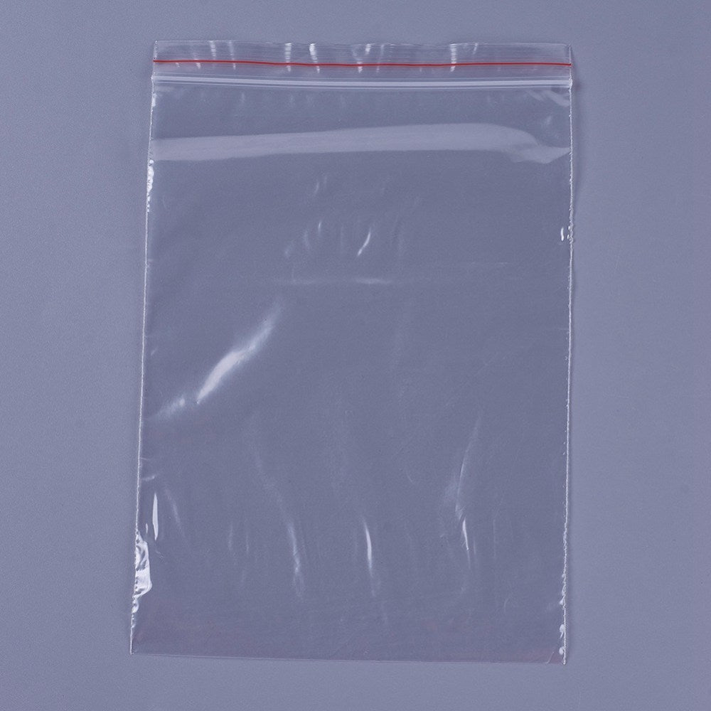 100 pc Plastic Zip Lock Bags, Resealable Packaging Bags, Top Seal, Self  Seal Bag, Rectangle, Clear, 24x16cm, Unilateral Thickness: 1.6 Mil(0.04mm)