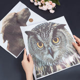 Craspire 2 Sheets 2 Style Owl & Dog Plastic Waterproof Car Window Stickers, Perforated Self-adhesive Decals for Car Windows Decorations, Mixed Patterns, 235x310x0.3mm and 310x305x0.3mm, 1 Sheet/style