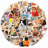 Craspire Waterproof PVC Adhesive Stickers, for Suitcase, Skateboard, Refrigerator, Helmet, Mobile Phone Shell, Cat Pattern, 50~70x50~70mm